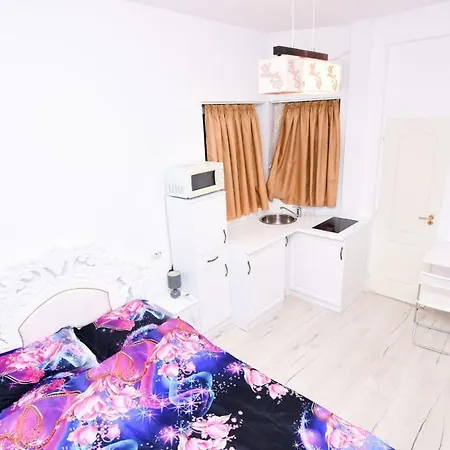 Studio Pache Apartment Bucharest